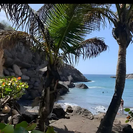 Tu En Playa Paraiso アデヘ