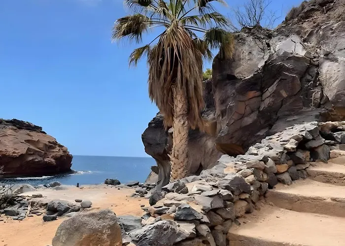 Tu En Playa Paraiso